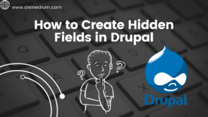 Read more about the article Adding a Hidden Field in Drupal: A Step-by-Step Guide