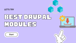 Read more about the article Best Drupal Modules for Developers