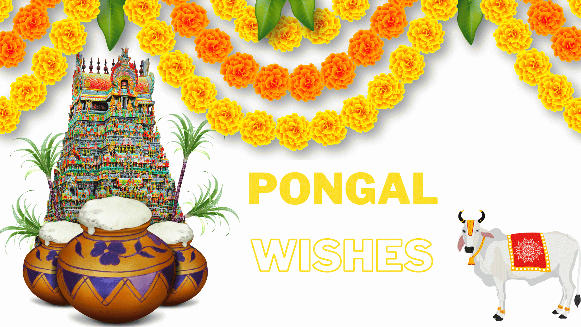 You are currently viewing 🌾🌞🎉 Pongal Wishes in Tamil 🎉🌞🌾